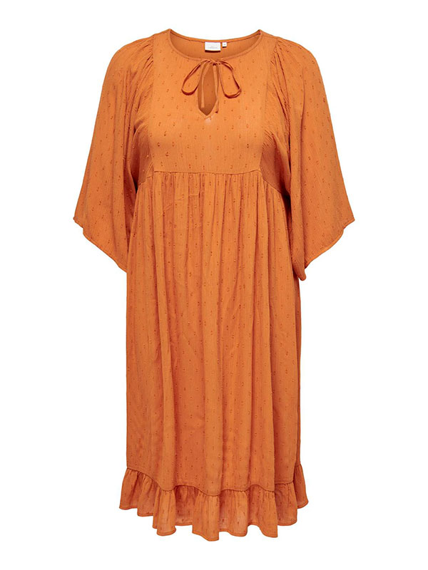 CARELEANOR - Plus Size Mekko fra Only Carmakoma