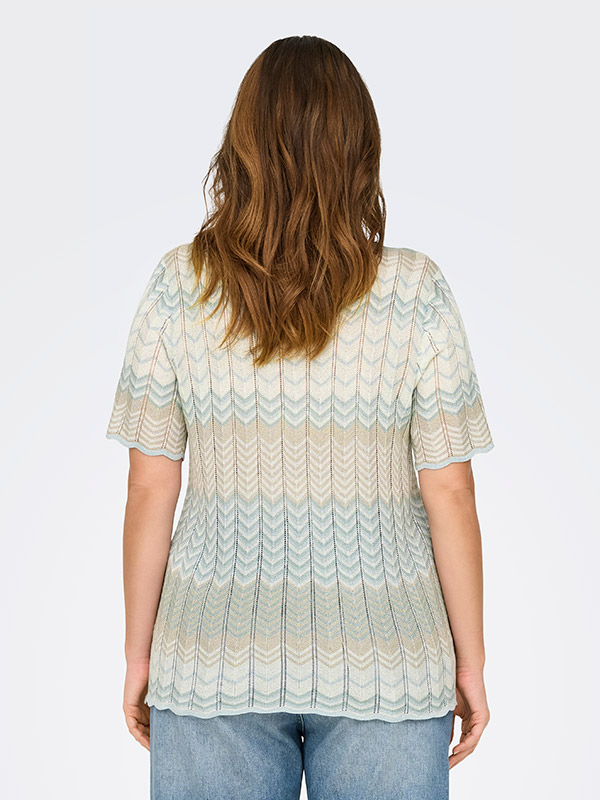 CARALVIRA - Plus Size T-paita fra Only Carmakoma