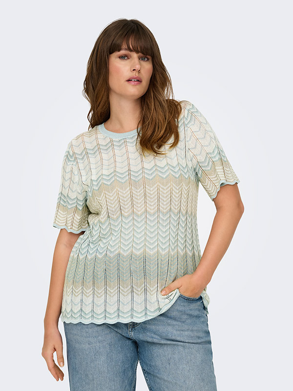 CARALVIRA - Plus Size T-paita fra Only Carmakoma