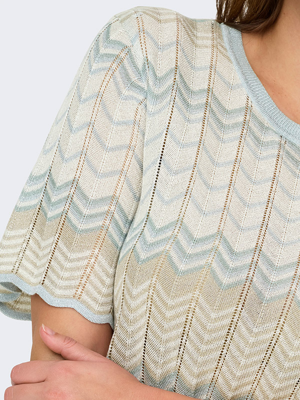 CARALVIRA - Plus Size T-paita fra Only Carmakoma