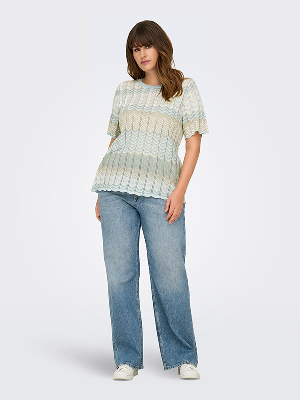 CARALVIRA - Plus Size T-paita fra Only Carmakoma