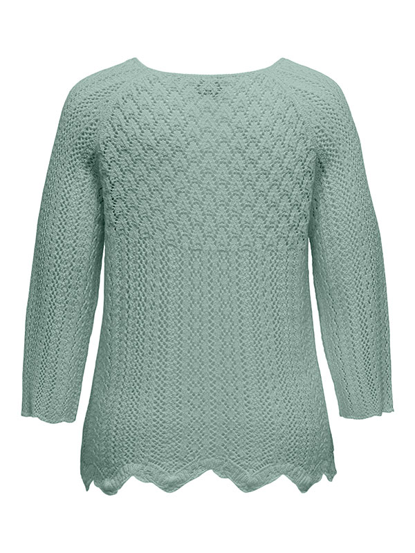 CARNOLA - Plus Size Pusero fra Only Carmakoma