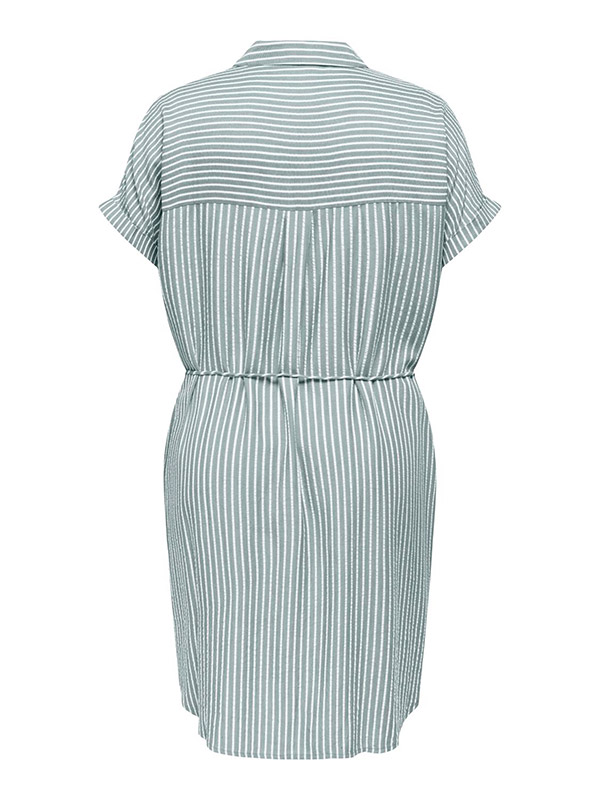 CARPENNA - Plus Size Mekko fra Only Carmakoma
