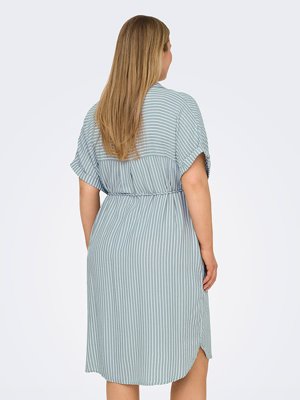 CARPENNA - Plus Size Mekko fra Only Carmakoma