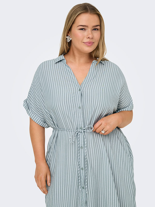 CARPENNA - Plus Size Mekko fra Only Carmakoma